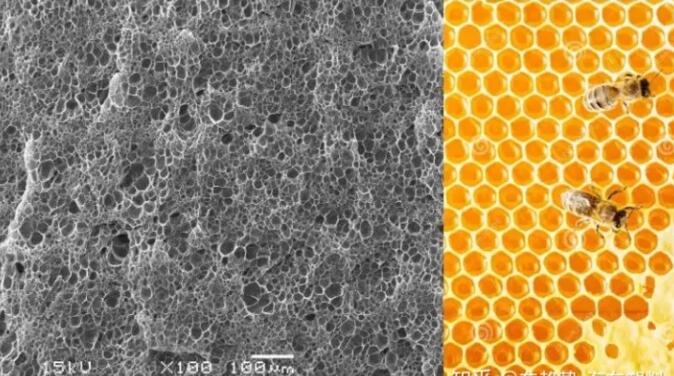 epp發(fā)泡聚丙烯的顯微結構，可以看到這是種連續(xù)閉孔結構，類似于蜂窩